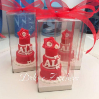 Bomboniera_Minicake_Laurea
