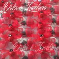 Segnaposto Laurea con confetto decorato